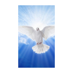 Curățare-redresare energetică